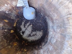 Wooden barrel has no bottom