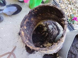 Wooden barrel with rotting bottom